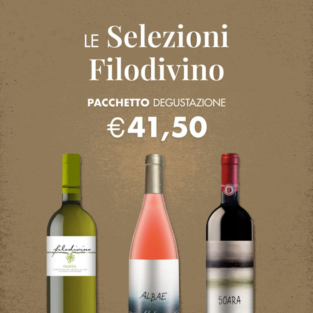 Tasting package offer "Selections" Filodivino - 3 bottles with gift box
