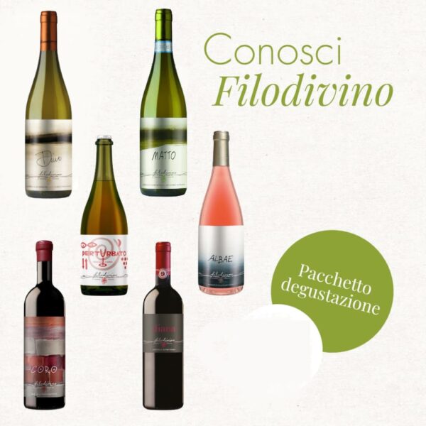 Offerta Conosci Filodivino degustazione