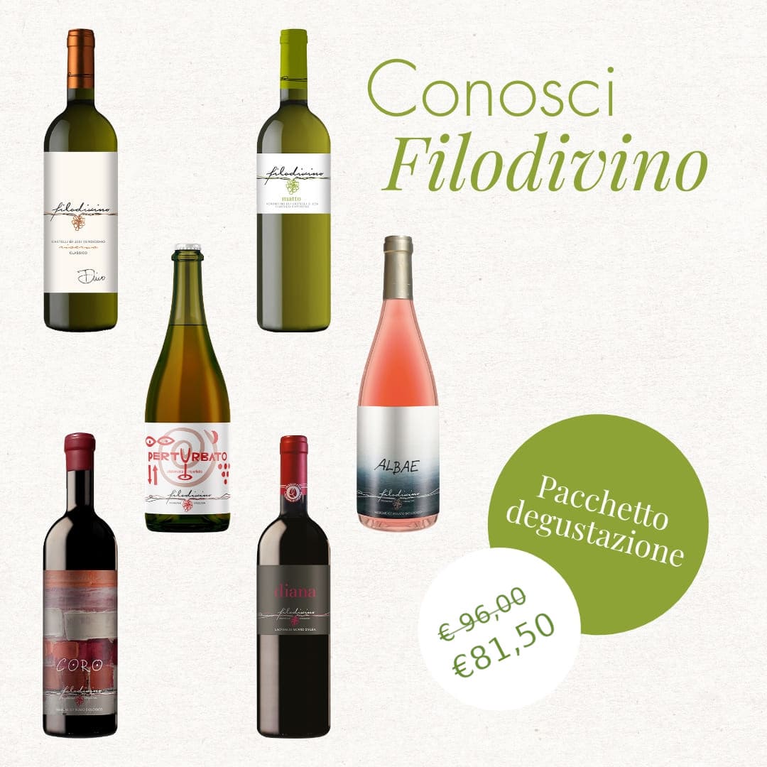 Tasting package "Get to know Filodivino" - 6 mixed bottles